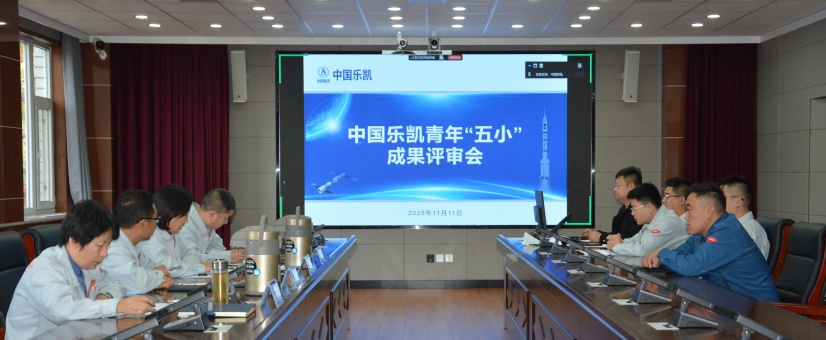 激揚(yáng)青春智造力！中國(guó)樂凱團(tuán)委召開青年&ldquo;五小&rdquo;成果評(píng)審會(huì)